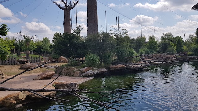 Zoo De Beauval