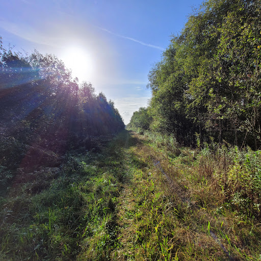 Oosterbos - Visual