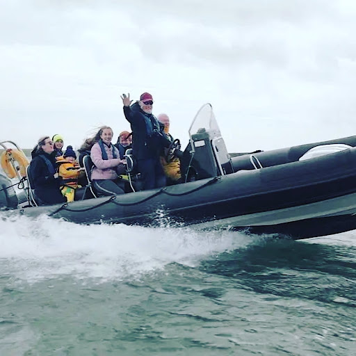 Strangford Lough Boat Tours Gallery - United Kingdom