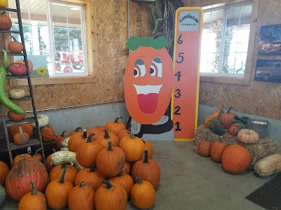 Pumpkins On Garfield Corn Maze