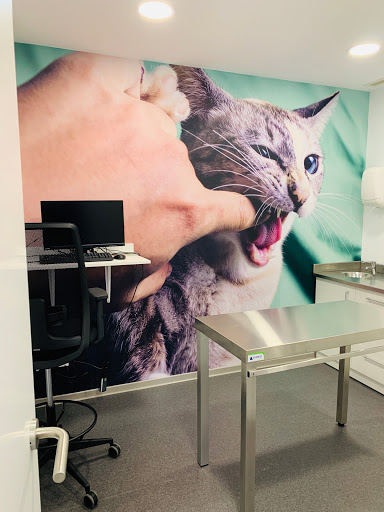 Hospital Veterinario Catarroja | MiVet
