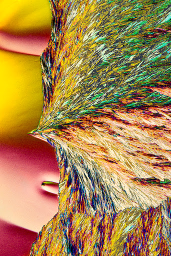 Agonist Gallery - Visual