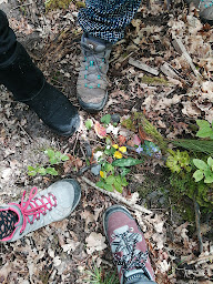 Photo n°14 de Céline Connan sylvothérapie et naturopathie à Joué-lès-Tours (Programme de bien-être)