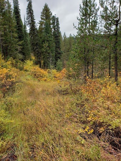 Yellowstone Trail Parking