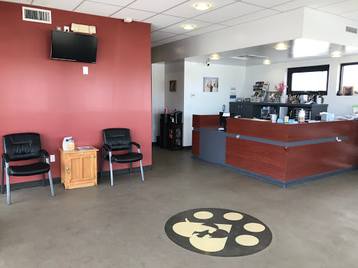 Pets R Us Commerce City