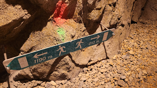 Entrée sud du tunnel du Bois Clair - Thumbnail