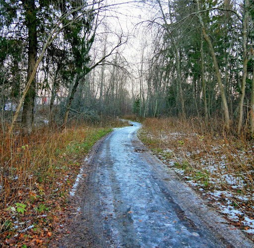 Rovön - Visual