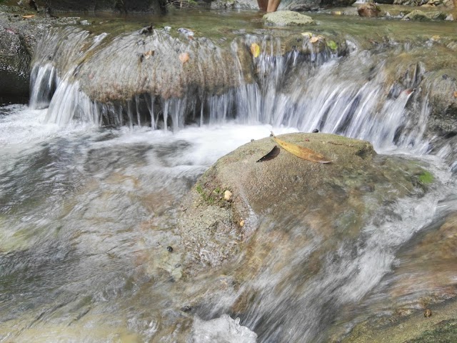 Tab Kak Hang Nak Nature Trail