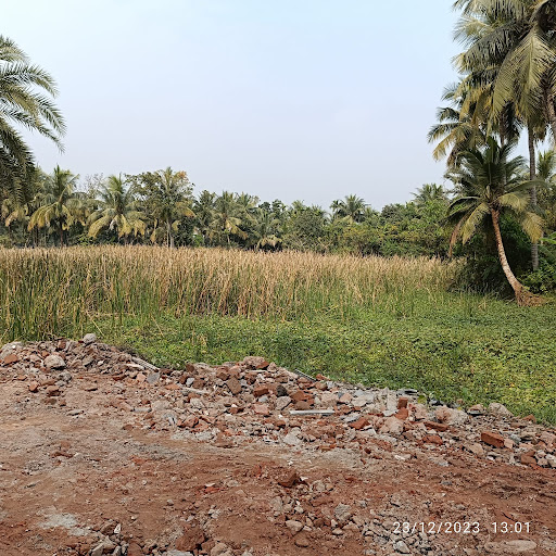 Gallery image 10