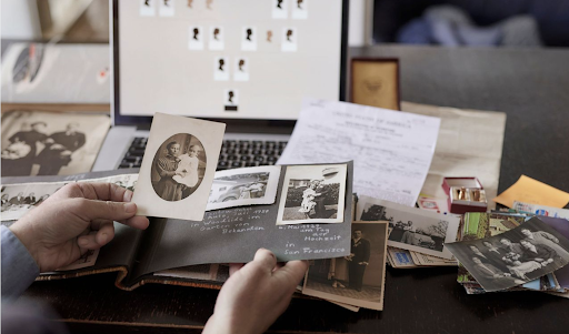 🏛️ Cécile Fauvet Généalogiste Successorale