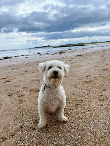 Embleton Bay - Thumbnail