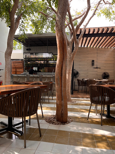 Oliva Patio - Thumbnail