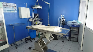 Photo n°3 de Clinique Vétérinaire Vauban à Abbeville (Clinique vétérinaire)