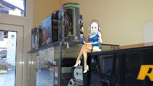 Photo n°11 de SAS La Bouche Rit à La Bastide-de-Sérou (Magasin de jeux vidéo)