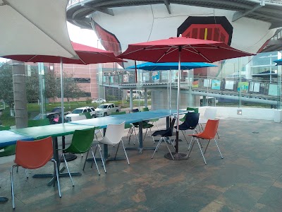 Photos of Domino's Pizza