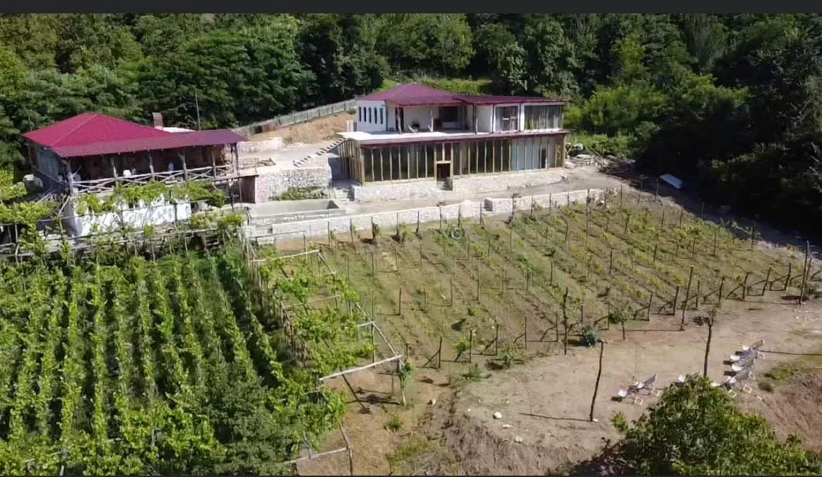 Wine Hotel Korenishuli Veranda