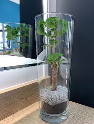 Photo n°5 de Côté Salon à Angers (Salon de coiffure)