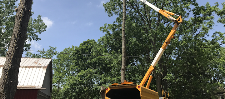 Hirschey's Tree Service