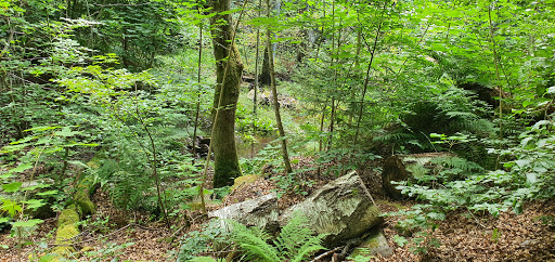 Braås Park - Visual