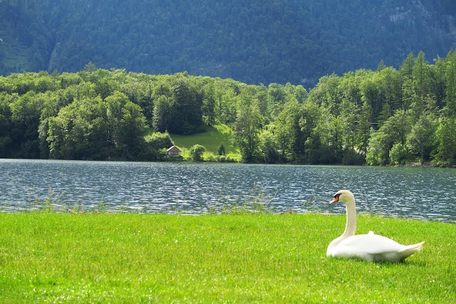 Strandbad Obertraun/Gemeinde Obertraun