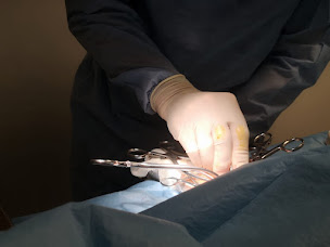 Photo n°14 de Clinique Vétérinaire Les Gressets à La Celle-Saint-Cloud (Pharmacie vétérinaire)