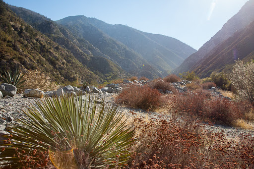 Bonita Ranch Campground - Thumbnail