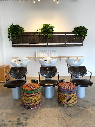 Bowhead Salon - Visual