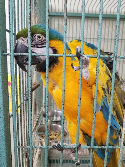 コメリパワー 河渡店 ペットパーク Pet Store Nishikanbara Gun Niigata