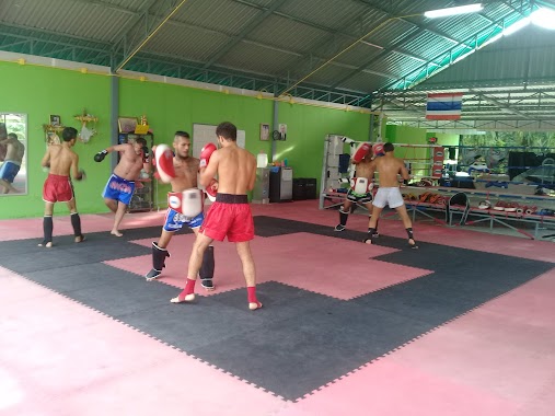Honour Muay Thai (Thai Boxing Training Camp Thailand), Author: Honour Muay Thai (Thai Boxing Training Camp Thailand)