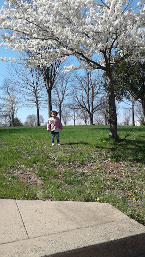 Feaster Park - Visual