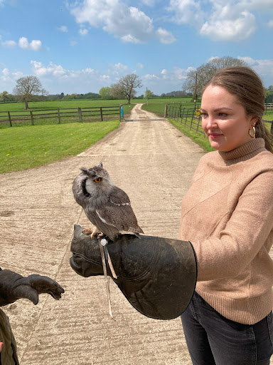 Walks With Hawks Ltd Gallery - United Kingdom