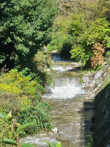Rio Molino - Thumbnail
