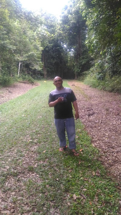 photo of Situs Makam Raja Balok