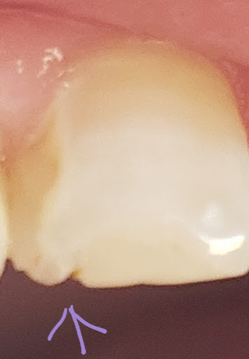 Stacey Family Dental - Thumbnail