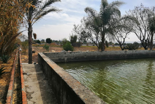 Terreno en Atlixco en venta 14 hectareas