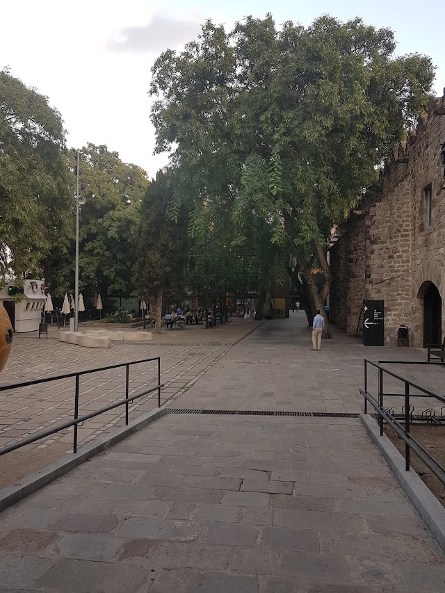 Bar-Restaurante del Museu Marítim