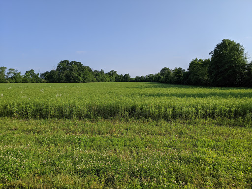 Glacier Ridge Metro Park - Thumbnail