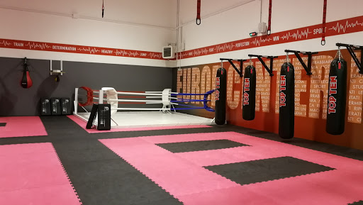 Palestra Europ Center F.M.A. - Thumbnail