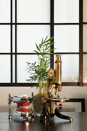 Photo n°6 de Dr Ahmed Elloumi - Orthodontiste Paris 16 à Paris (Orthodontiste)