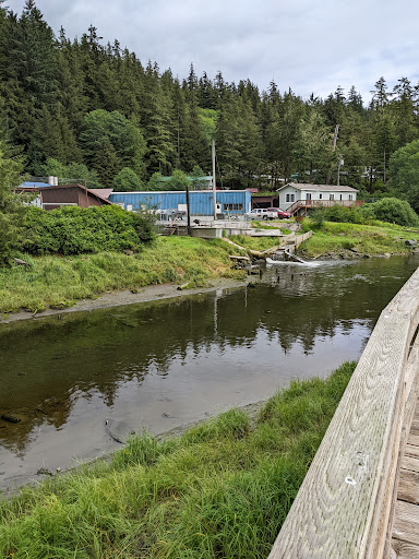 Herring Cove - Visual