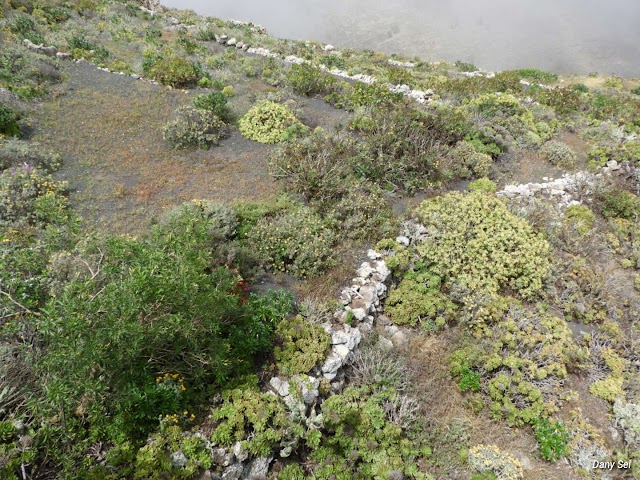 Lanzarote