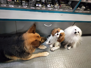 Photo n°23 de Café des Sports à Sotteville-lès-Rouen (Boutique de cigarettes électroniques)
