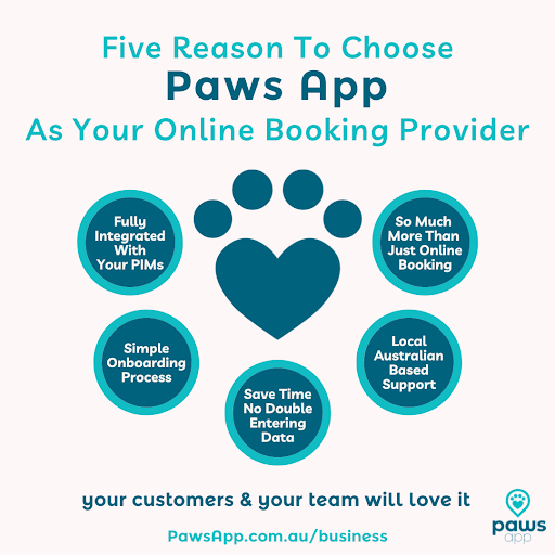Paws App - Visual