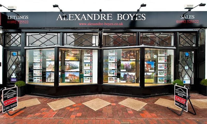 Alexandre Boyes photo 2