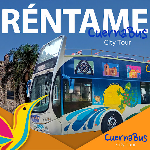 Cuernabus - Visual