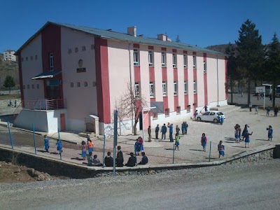 school