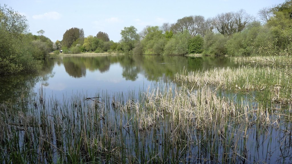 Kirkland And Kirkland Llc