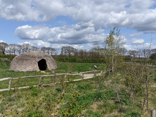 Geopark de Hondsrug: Expeditiepoort IJstijden - Thumbnail
