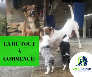 Photo n°17 de Canitrainer38 à Vignieu (Dresseur d'animaux de compagnie)