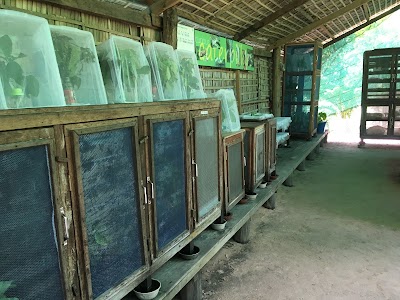 museum